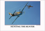 "Hunting the Hunter" Tuskegee Airmen P-40 Print by Jerry Taliaferro